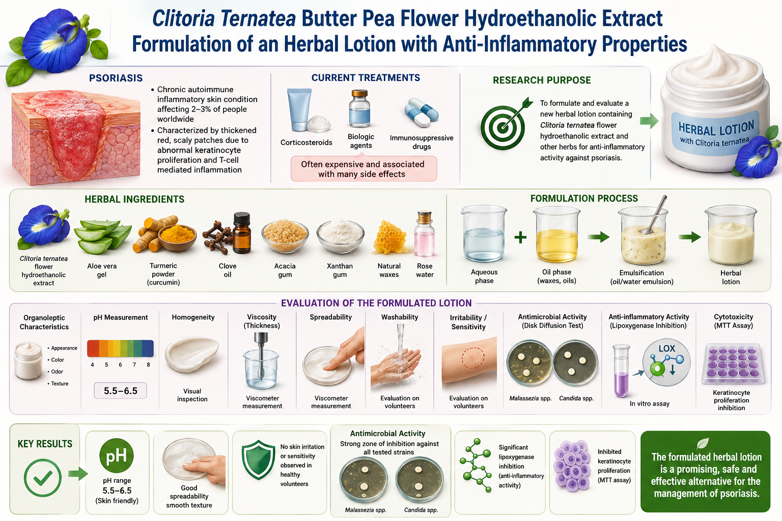 Graphical Abstract